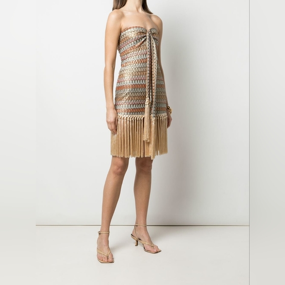 Alexis Tavia Fringe-Hem Bandeau Dress - Picture 10 of 13